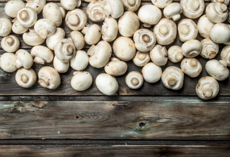 Mushroom farm equipment – what do you really need to run an efficient growing operation? Mushroom farm equipment – what do you really need to run an efficient growing operation?